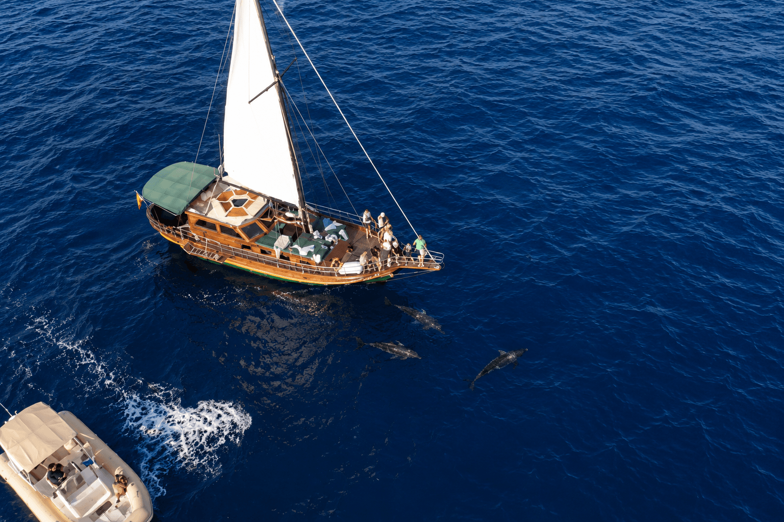 Privat charter med klassisk seilbåt – Puerto Rico – 4 timer
